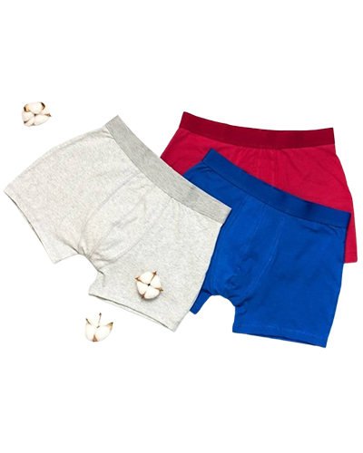 Boxer for Men