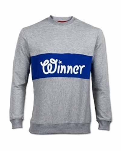 Gray Sweatshirt