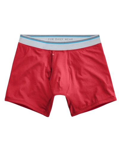 Jersey Boxer